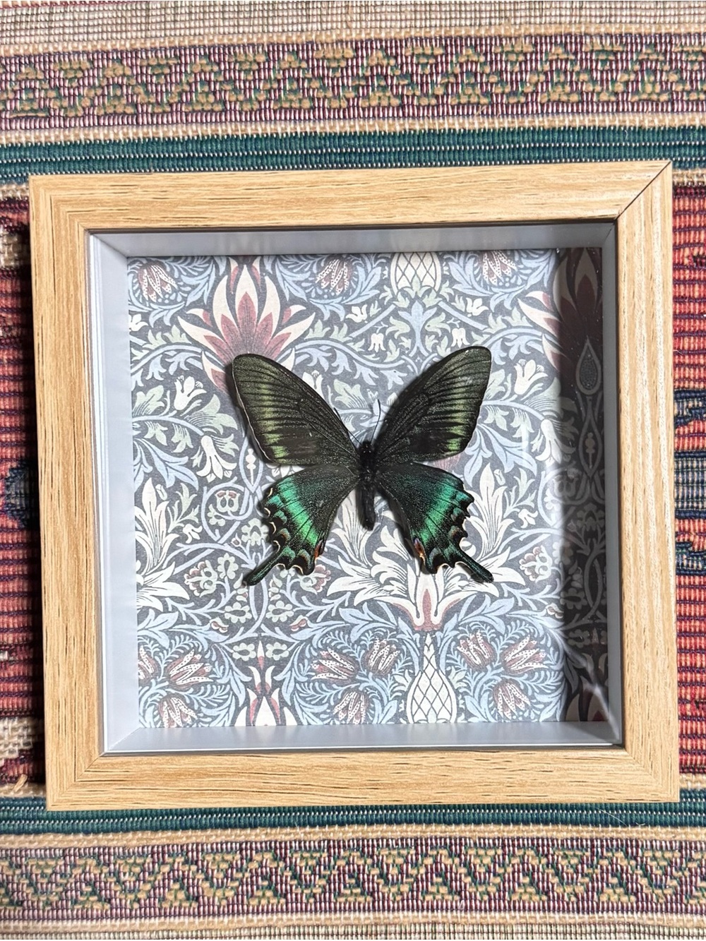 Framed Green and Black Butterfly Shadow Box Wall Art